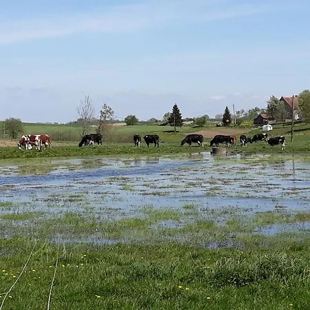 Miejsce Mocy Mazury * Kolno