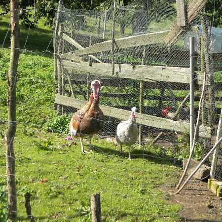 Miejsce Mocy Mazury *