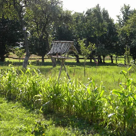 Miejsce Mocy Mazury 홈스테이