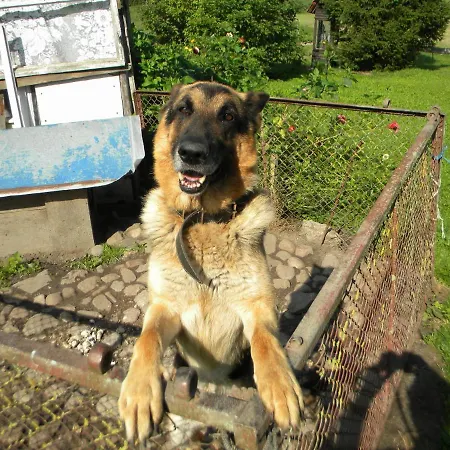 Miejsce Mocy Mazury 홈스테이