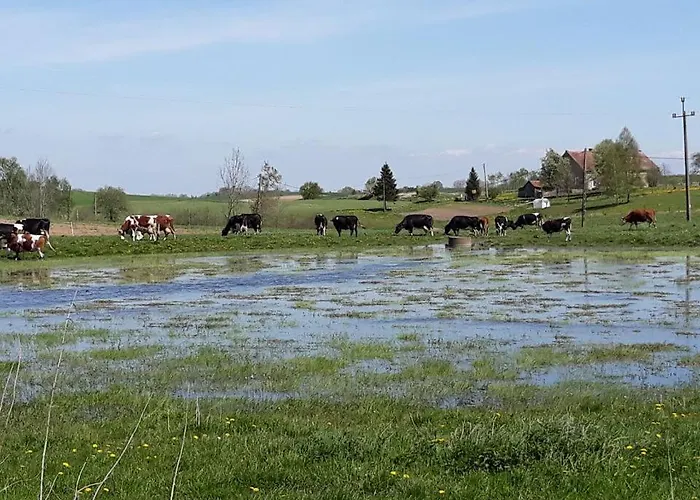 Miejsce Mocy Mazury * Kolno (Warmian-Masurian)