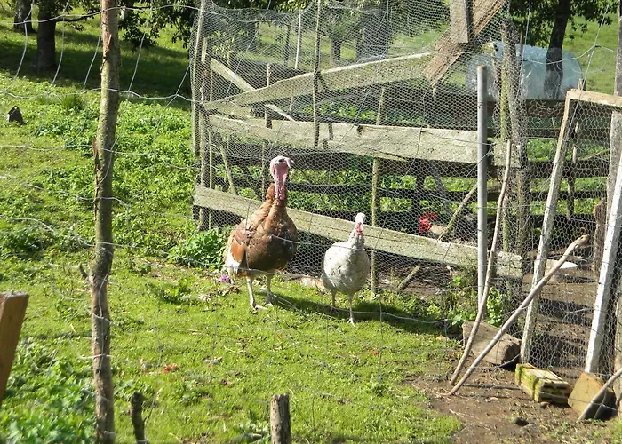 Miejsce Mocy Mazury *