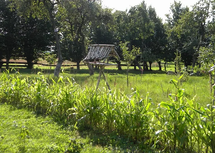 Miejsce Mocy Mazury Проживание в семье