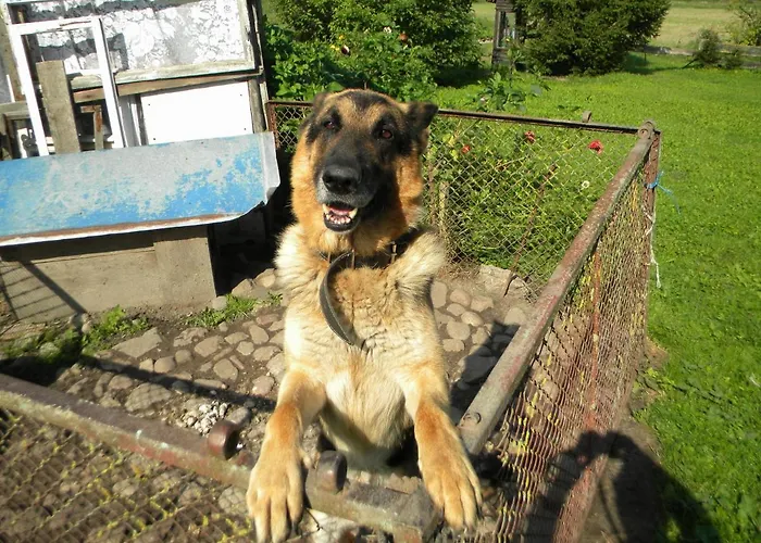 Miejsce Mocy Mazury Проживание в семье